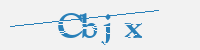 보안문자
